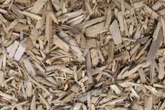 biomass boilers Tolskithy